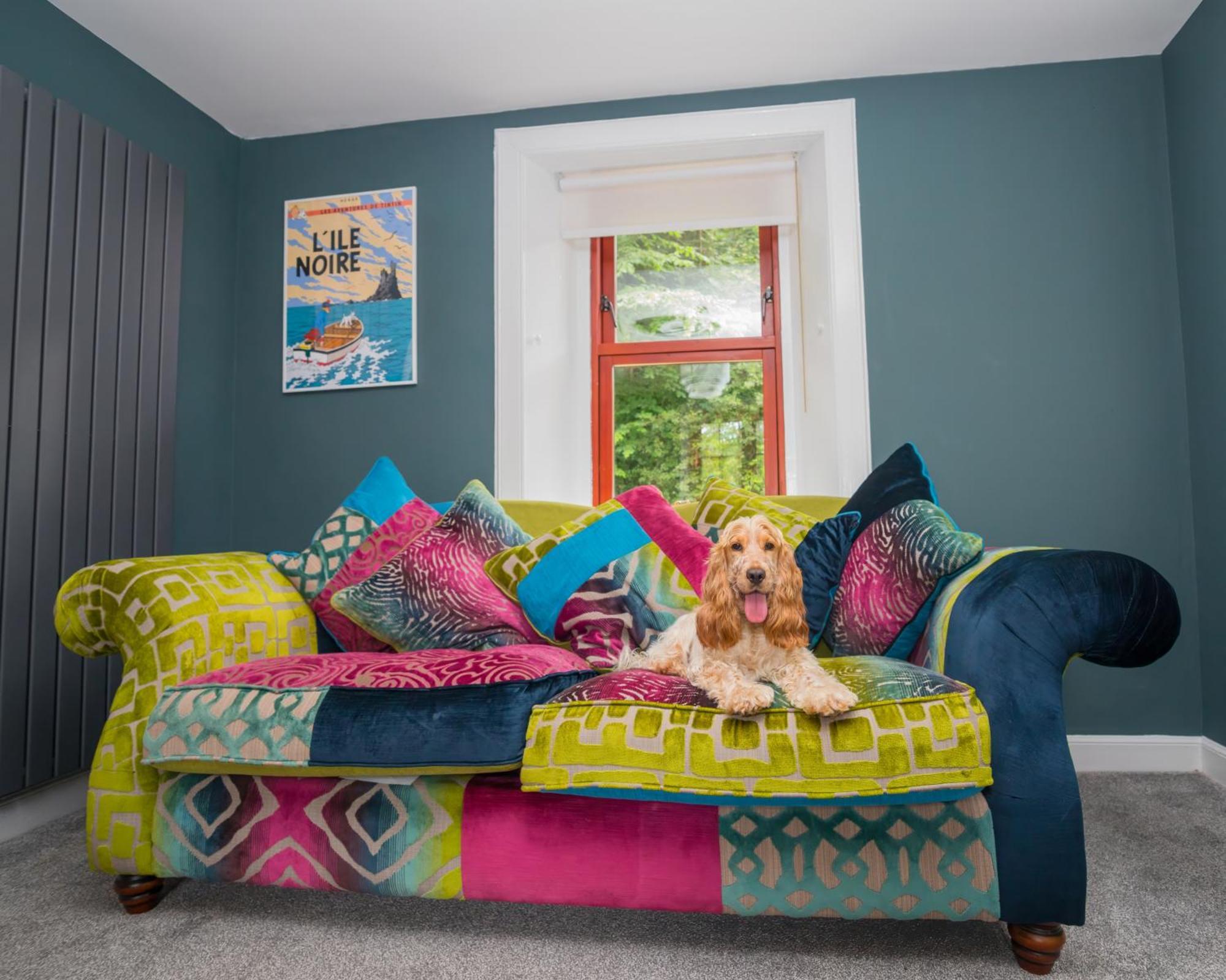 Tig Cottage - A Rural, Quirky, Pet Friendly 2 Bedroom Cottage Near Ballantrae Exterior photo