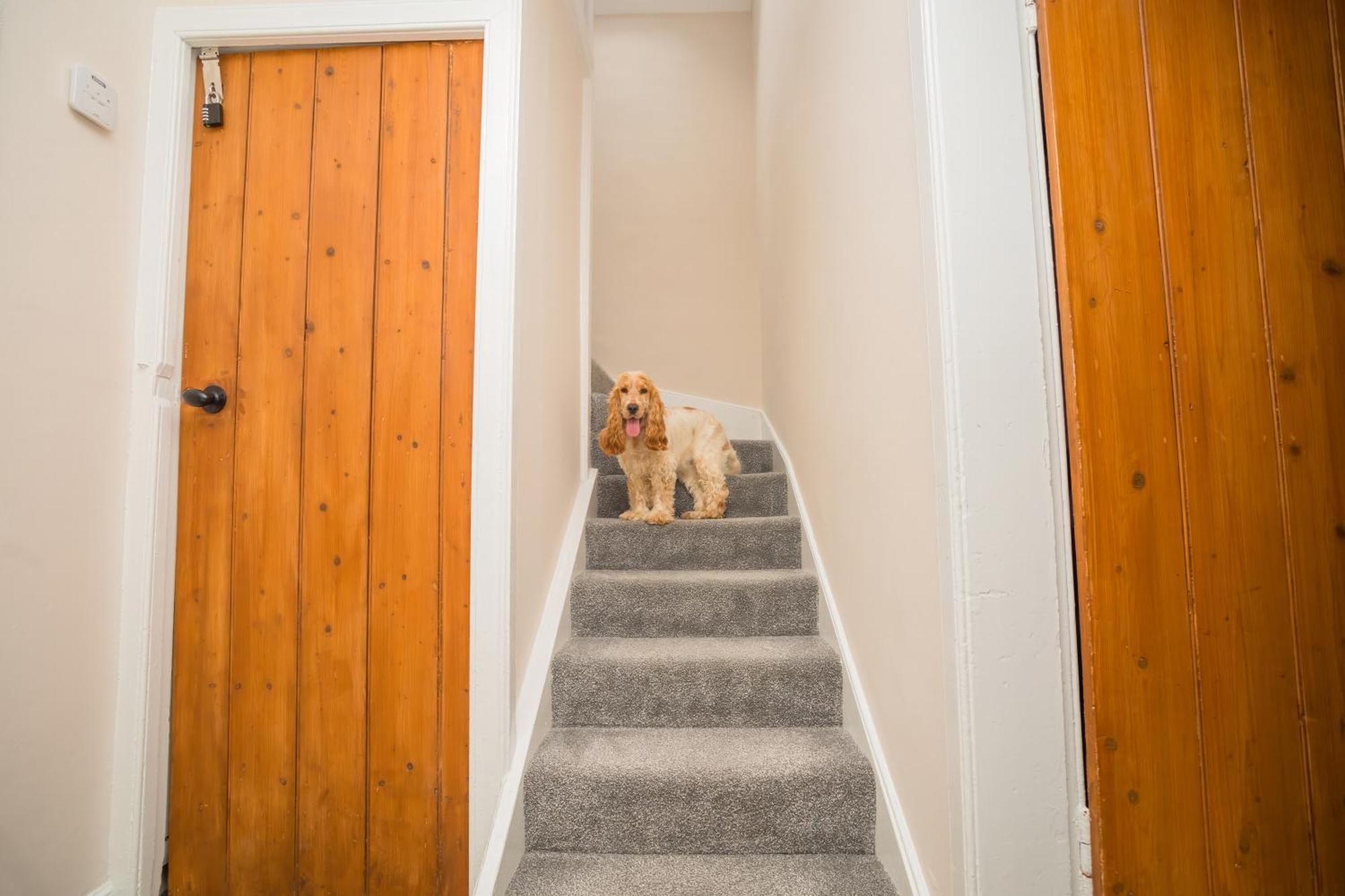 Tig Cottage - A Rural, Quirky, Pet Friendly 2 Bedroom Cottage Near Ballantrae Exterior photo